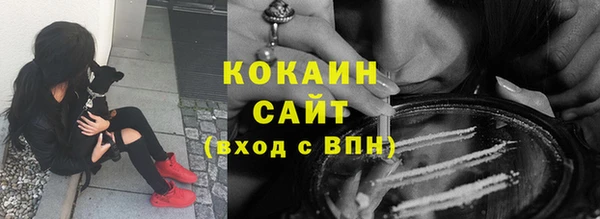 сатива Баксан