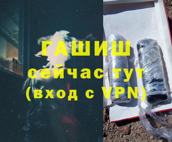 сатива Балахна