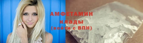сатива Балахна