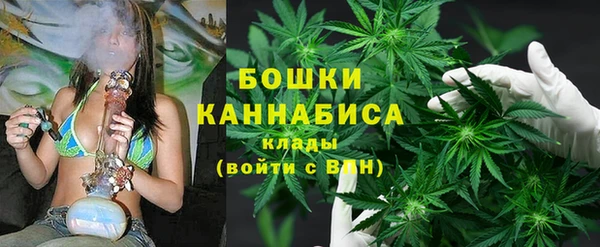 сатива Балахна
