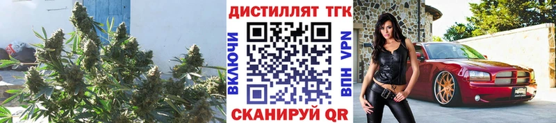 ТГК гашишное масло  darknet состав  Курчатов 