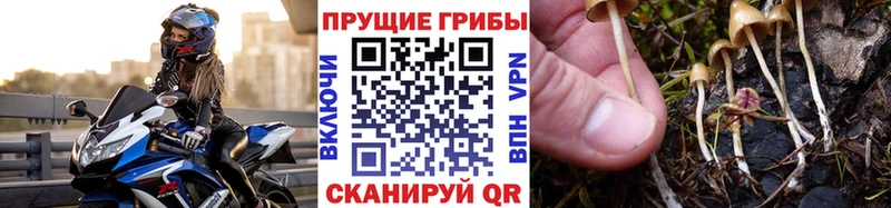 Галлюциногенные грибы GOLDEN TEACHER  Курчатов 