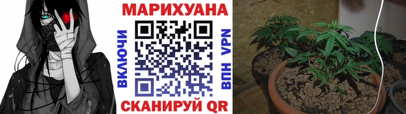 МАРИХУАНА индика  Курчатов 
